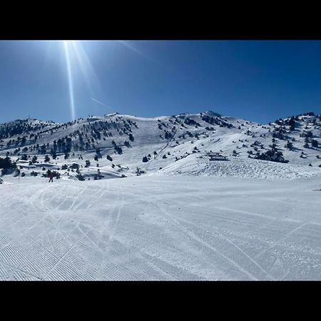 U061 - Grand Studio Renove - Vue Montagne Greolieres Exteriör bild